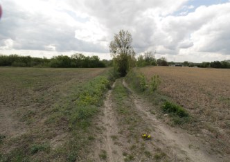 działka na sprzedaż - Zakroczym, Duchowizna